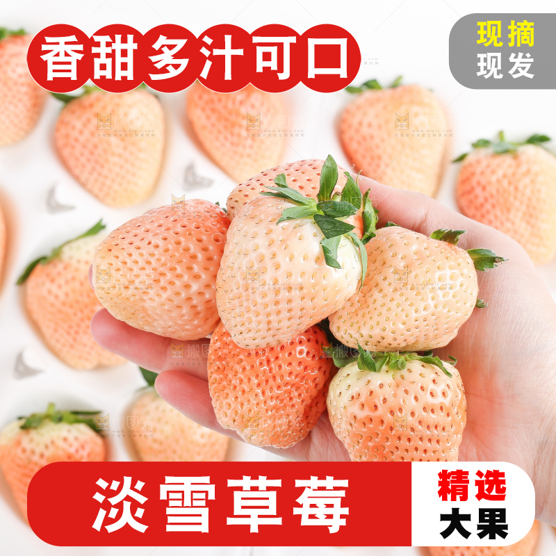 白底上的淡雪草莓