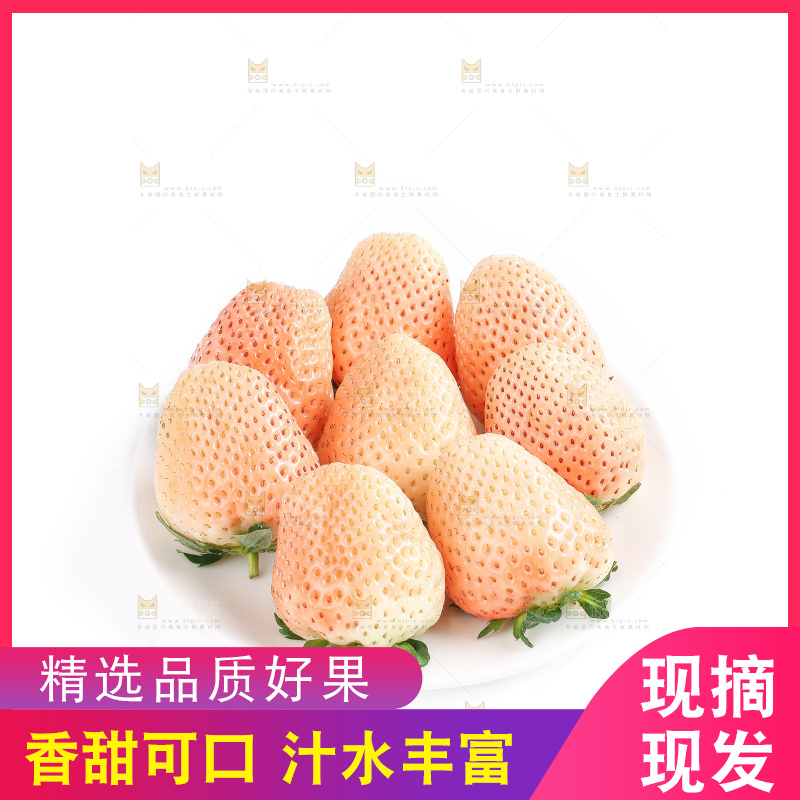 白底上的淡雪草莓