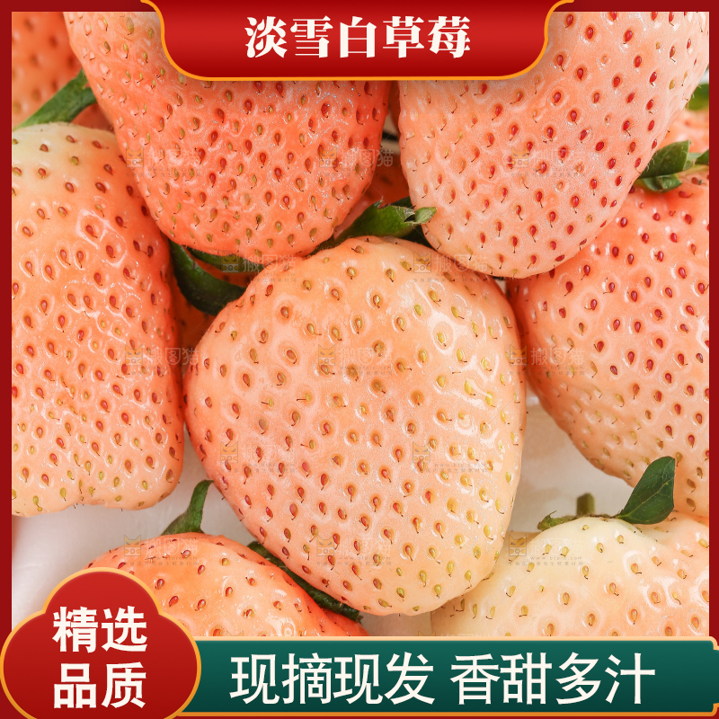 白底上的淡雪草莓