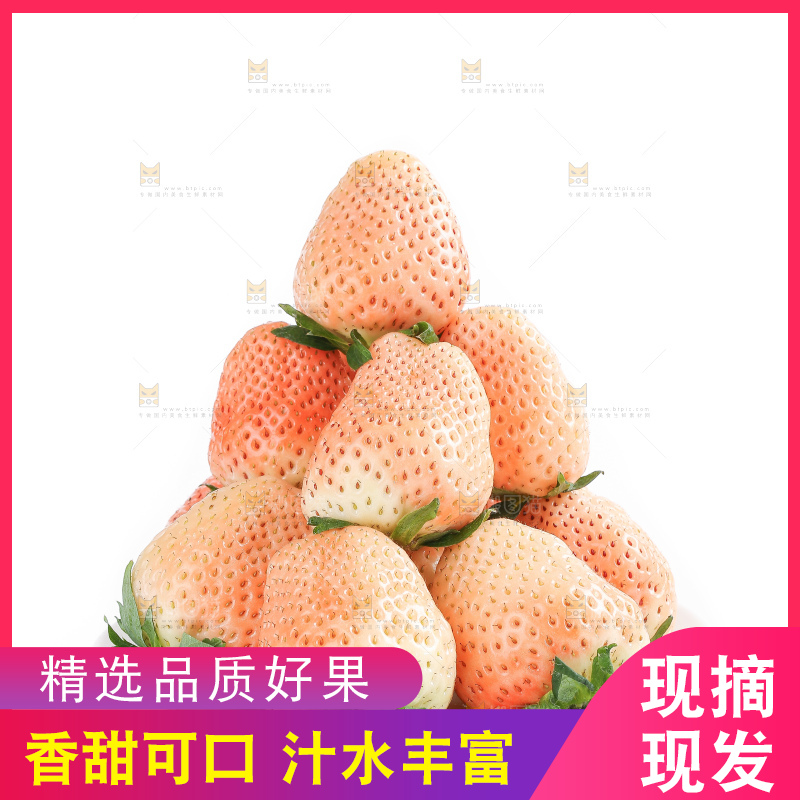白底上的淡雪草莓