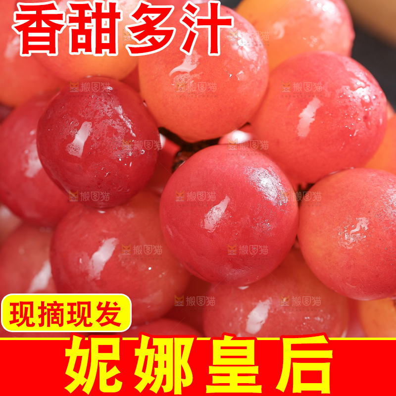 深底上的妮娜皇后葡萄
