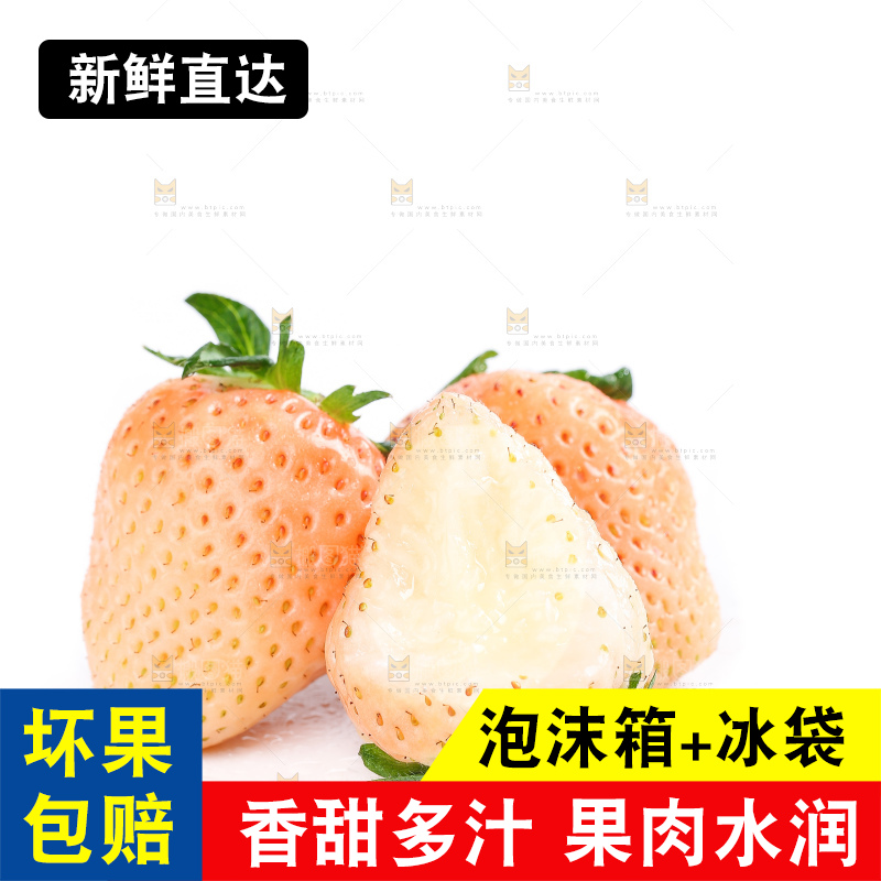白底上的淡雪草莓