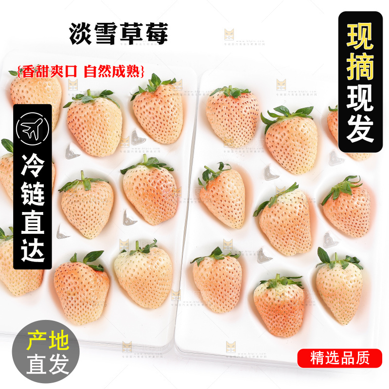 白底上的淡雪草莓