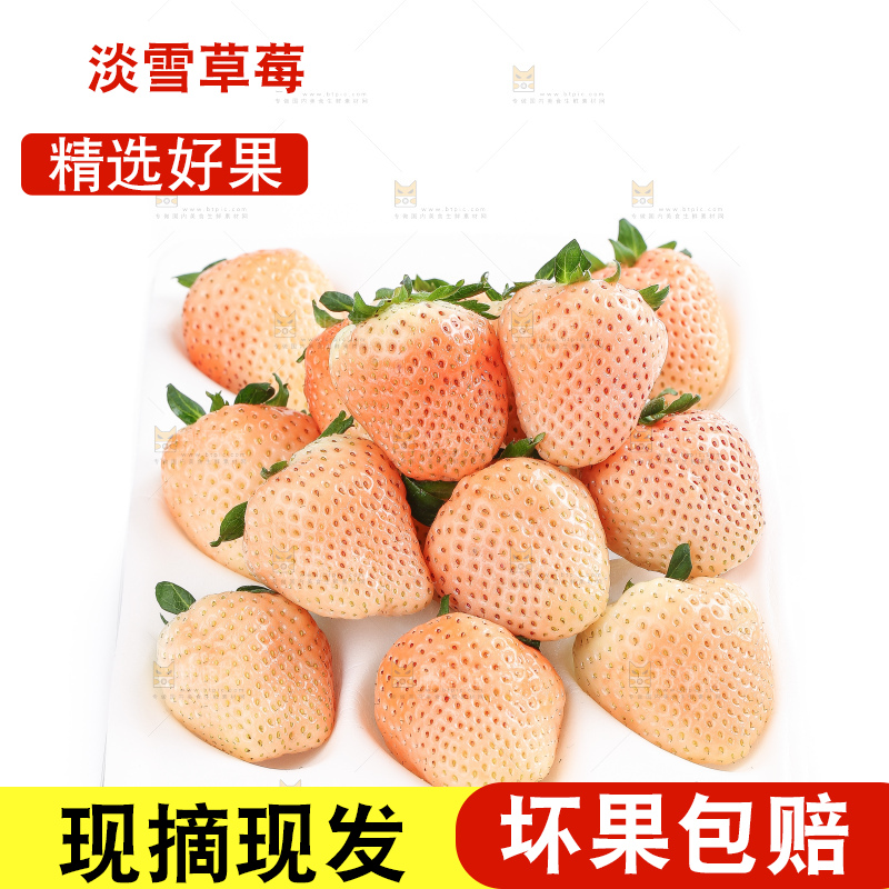 白底上的淡雪草莓