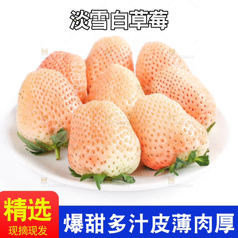 白底上的淡雪草莓
