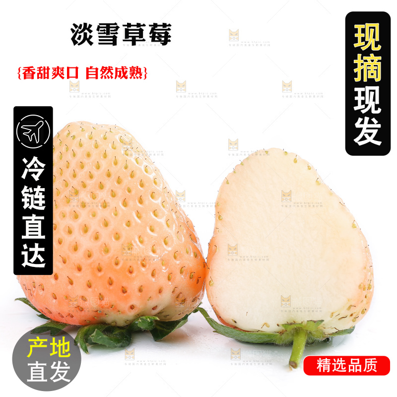 白底上的淡雪草莓