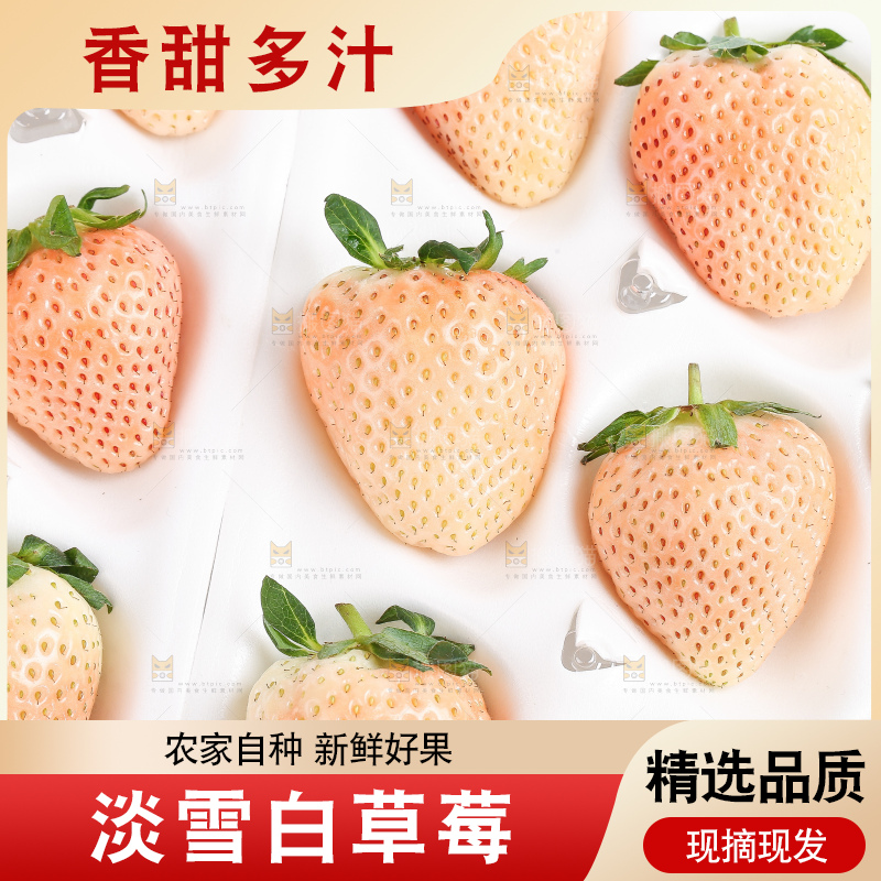 白底上的淡雪草莓