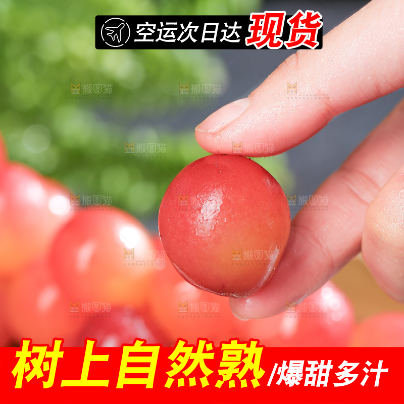 深底上的妮娜皇后葡萄