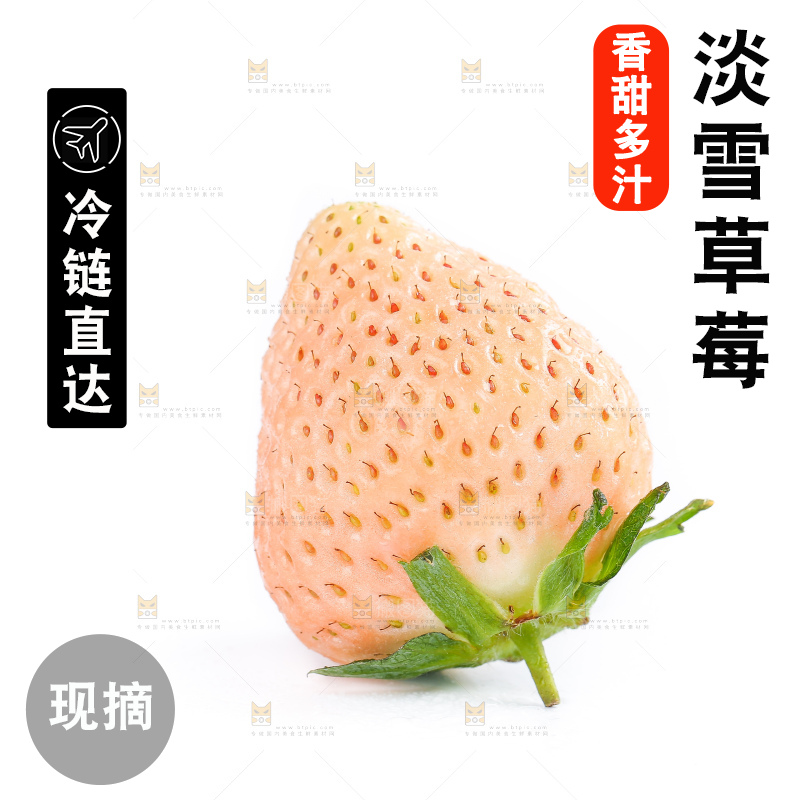白底上的淡雪草莓
