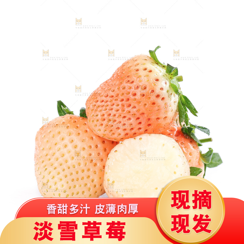 白底上的淡雪草莓
