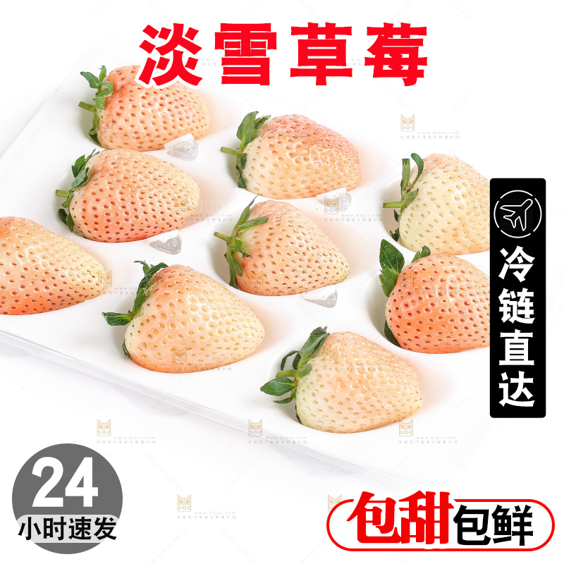 白底上的淡雪草莓