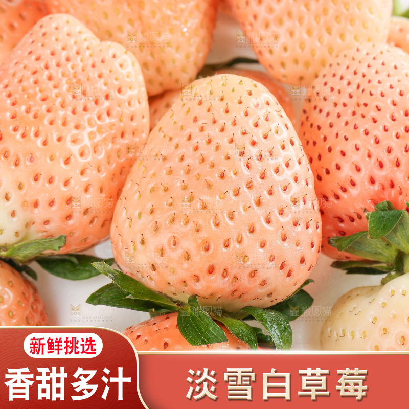 白底上的淡雪草莓