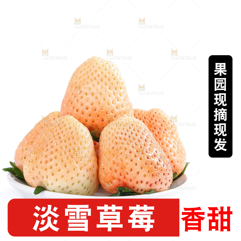 白底上的淡雪草莓