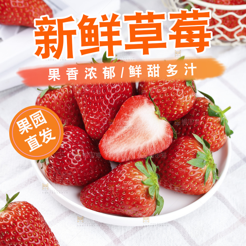 浅底上的丹东草莓