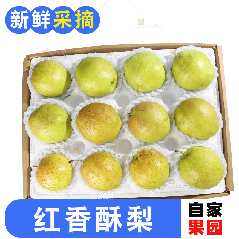 白底上的一盒红香酥梨
