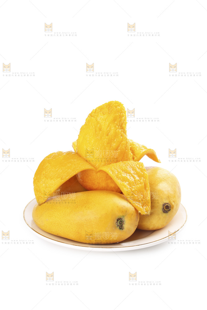 白底上的小台芒
