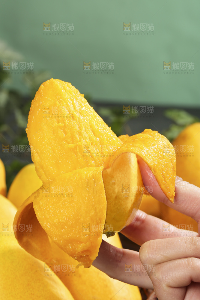 深底上的小台芒