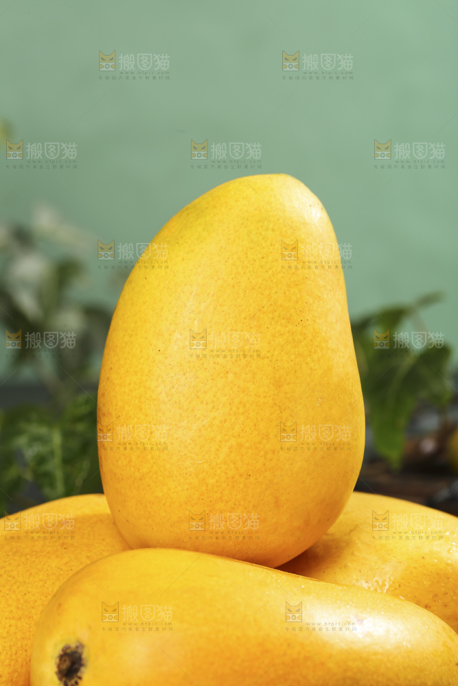 深底上的小台芒