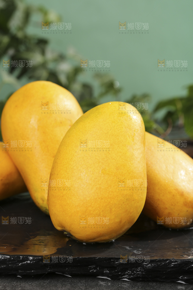 深底上的小台芒