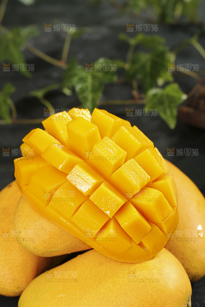 深底上的小台芒