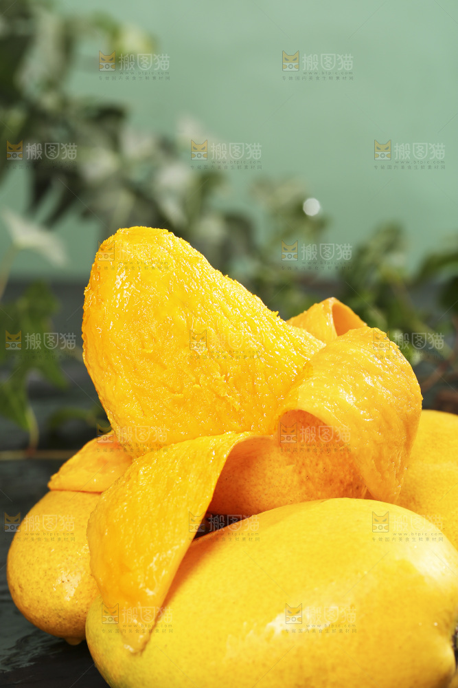 深底上的小台芒