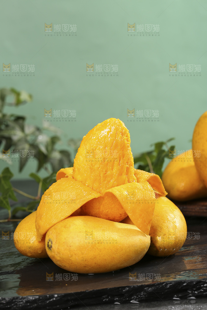 深底上的小台芒