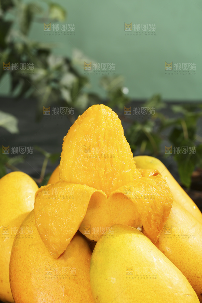 深底上的小台芒