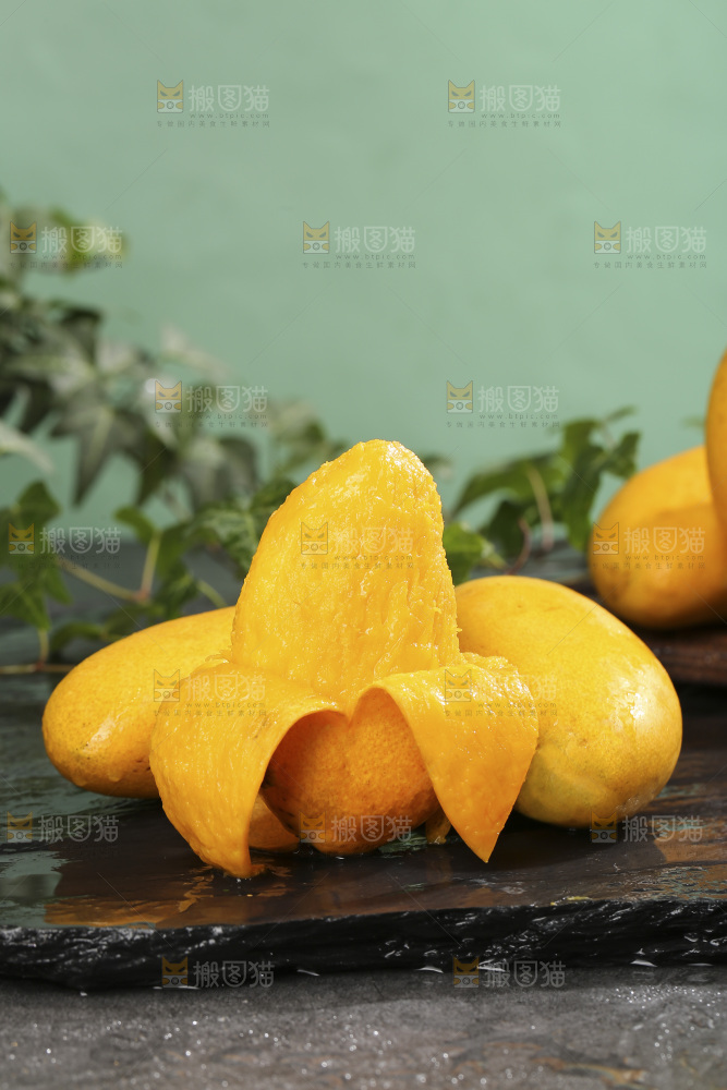深底上的小台芒