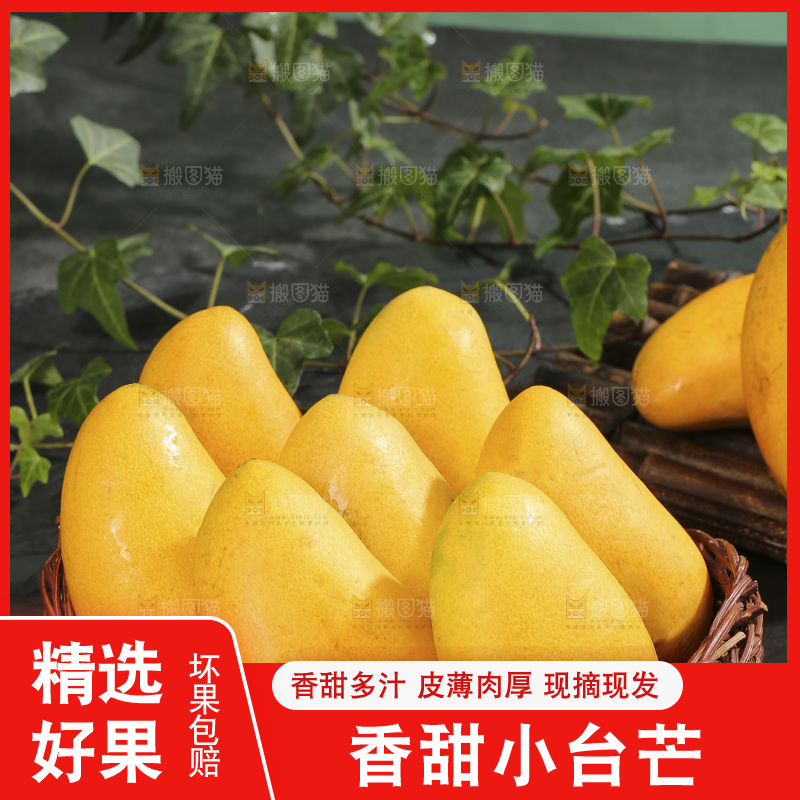 深底上的小台芒