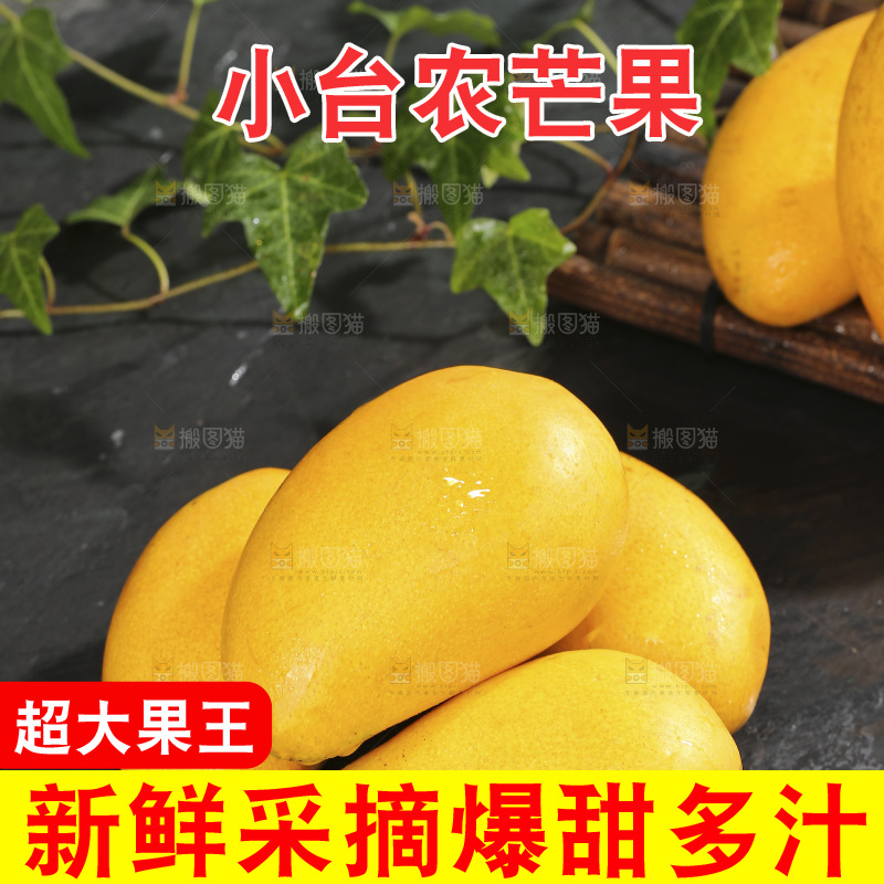 深底上的小台芒