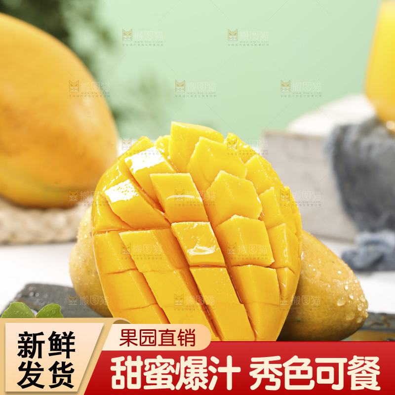 浅底上的小台芒