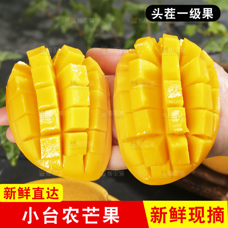 深底上的小台芒