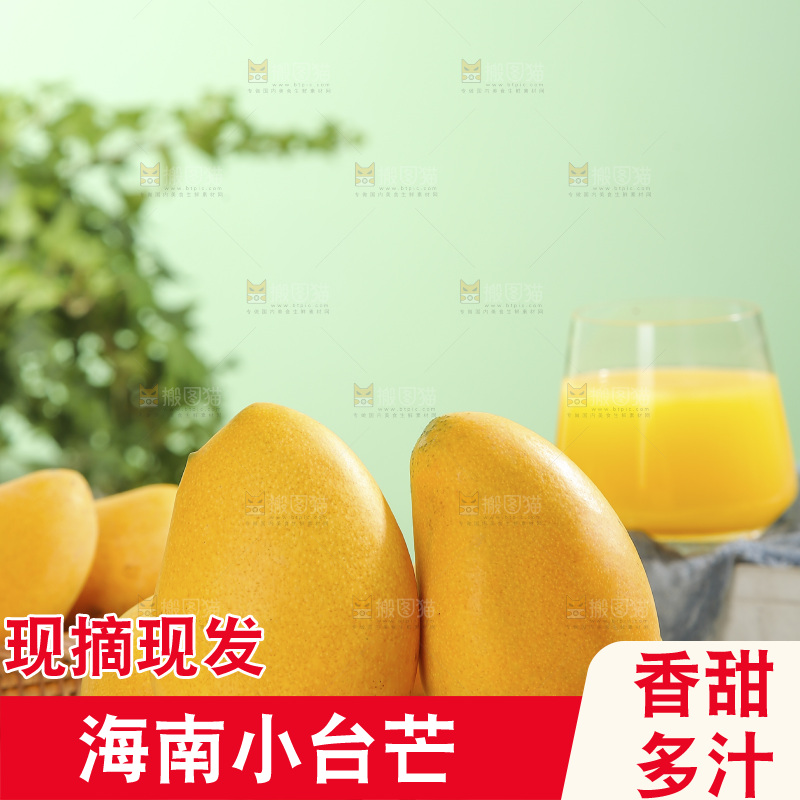 浅底上的小台芒