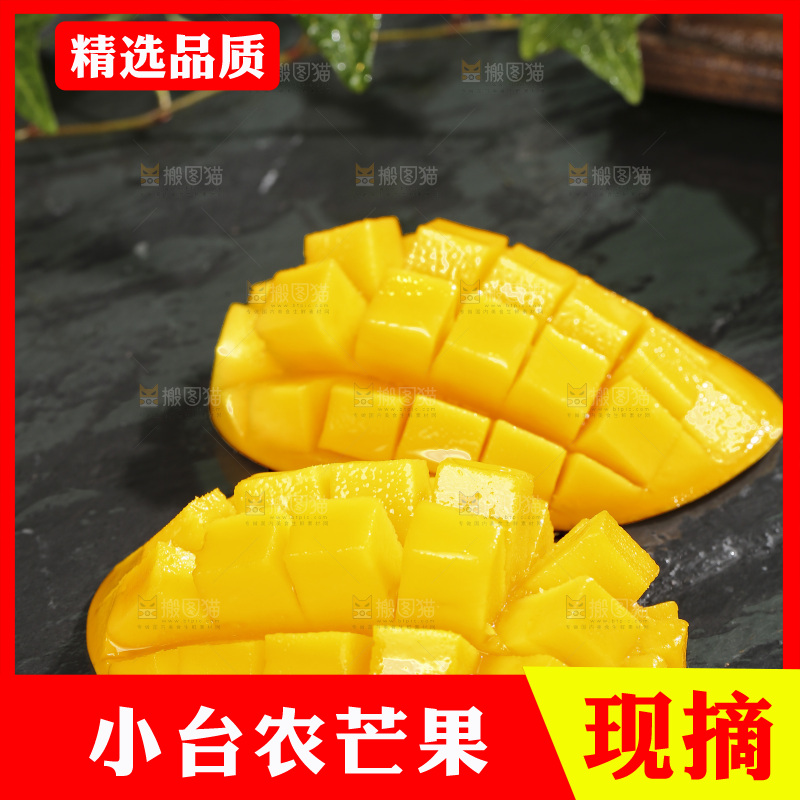 深底上的小台芒