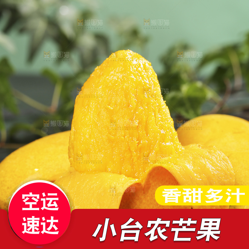 深底上的小台芒