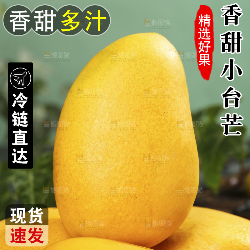 深底上的小台芒