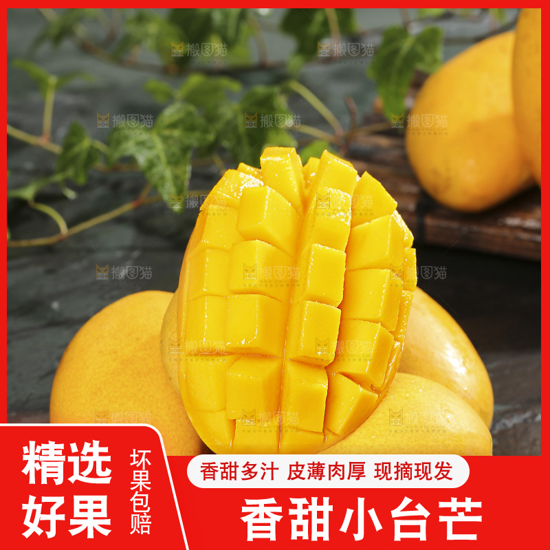 深底上的小台芒