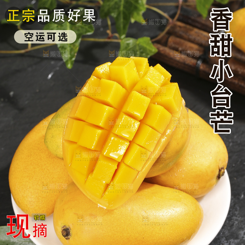 深底上的小台芒