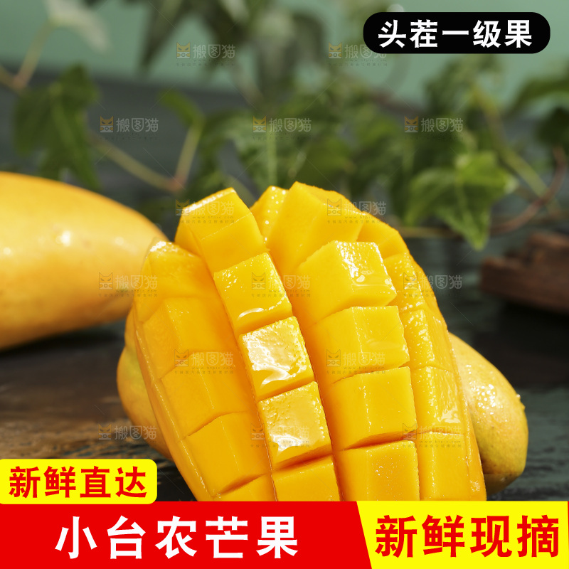 深底上的小台芒