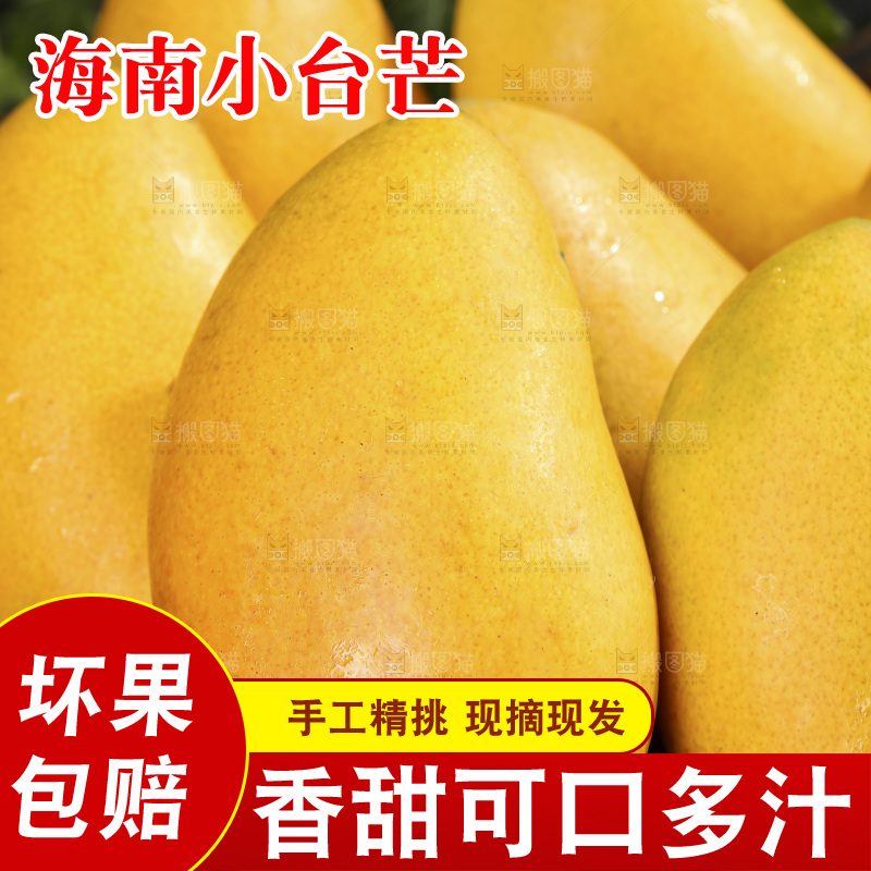 深底上的小台芒