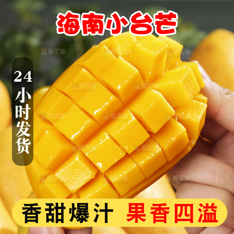 深底上的小台芒