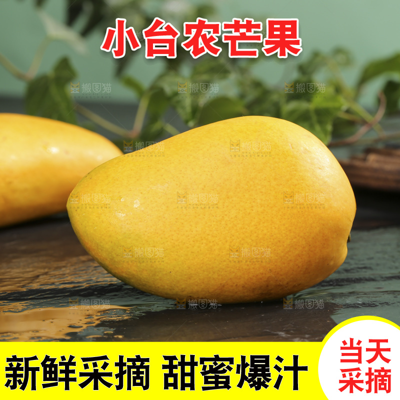 深底上的小台芒