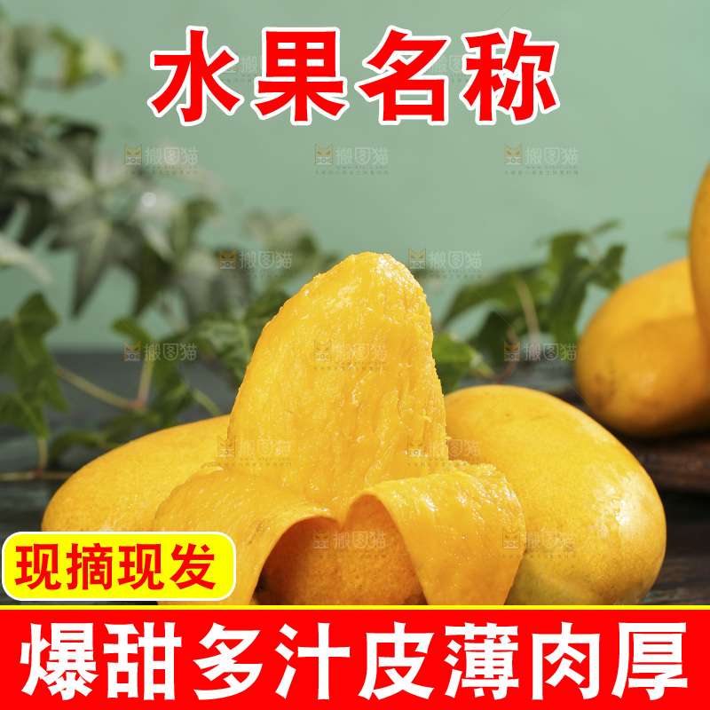 深底上的小台芒