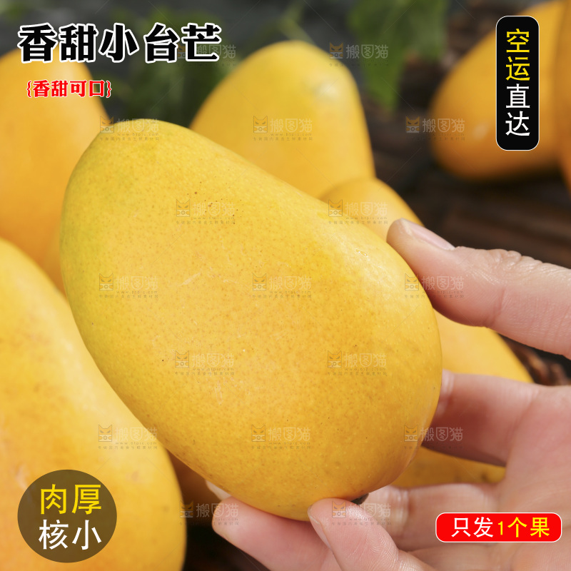 深底上的小台芒