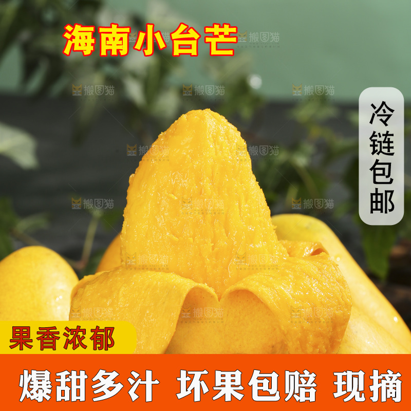 深底上的小台芒