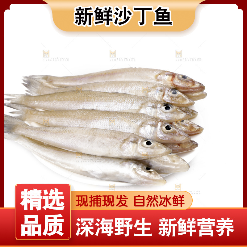 白底上的沙丁鱼