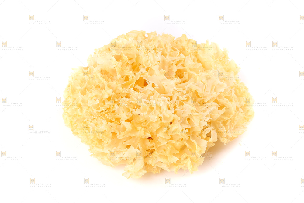 白底上的雪银耳