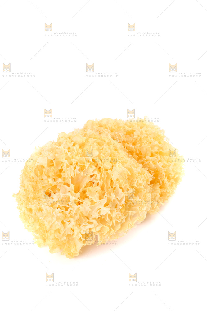 白底上的雪银耳