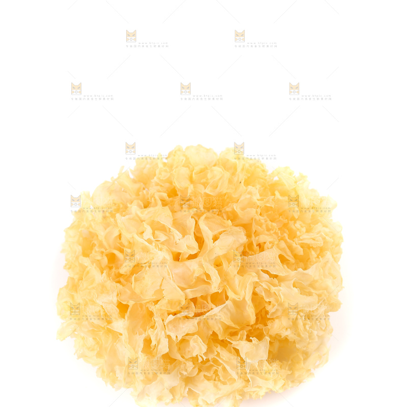 白底上的雪银耳