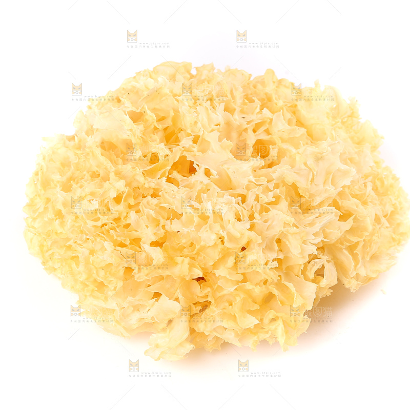 白底上的雪银耳